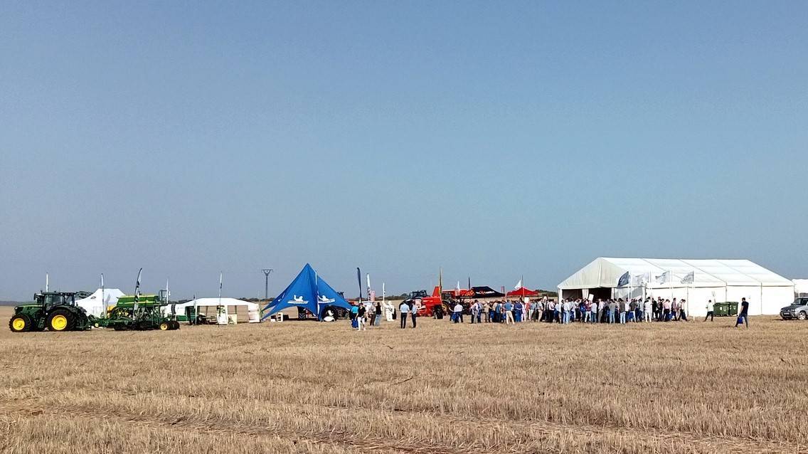 Jornada campo siembra directa huelva|Jornada campo siembra directa huelva|Jornada campo siembra directa huelva|jornada siembra directa huelva